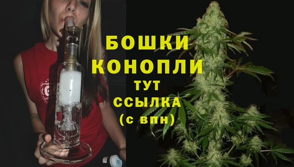 прущие грибы Пересвет