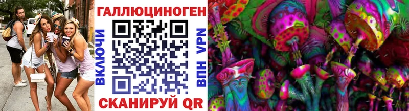 Галлюциногенные грибы Psilocybine cubensis  купить закладку  Балашов 